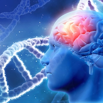 Genetic factors