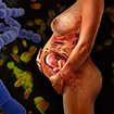 Genetic factors