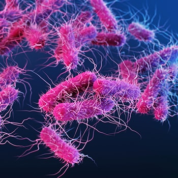 Genetic factors